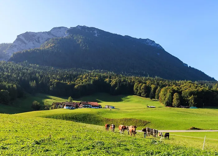 Oberaschenauer-hof Inkl. Chiemgaukarte